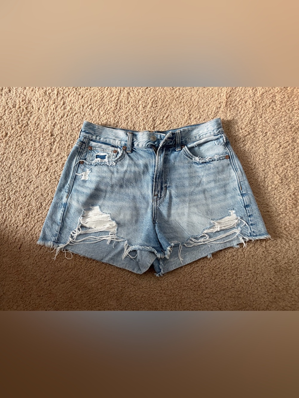 American Eagle Outfitters Light Blue Distressed Denim Cutoff Shorts